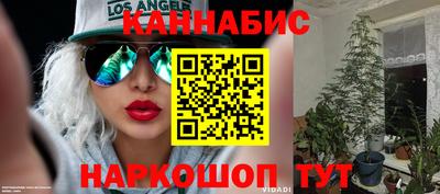 винт Будённовск